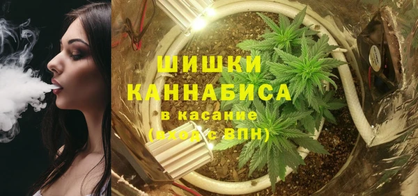 прущие крисы Белокуриха