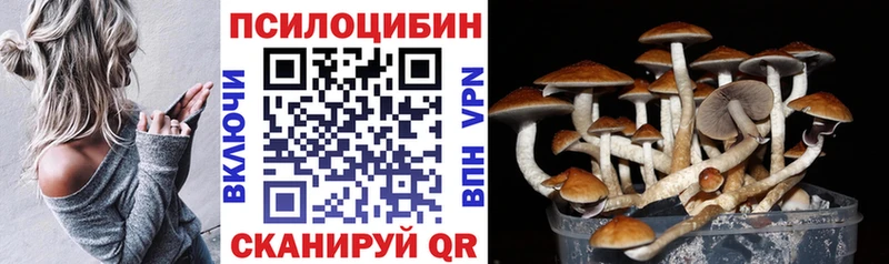 наркота мориарти клад Псилоцибиновые грибы MAGIC MUSHROOMS Будённовск